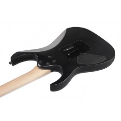 Електрическа китара Ibanez RG420EX BKF