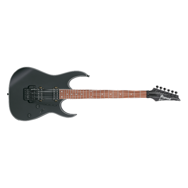 Електрическа китара Ibanez RG420EX BKF