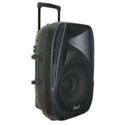 Караоке тонколона 100W RMS NJOY15S + 2 микрофона, професионален, високо качество звук, за сцена и студио