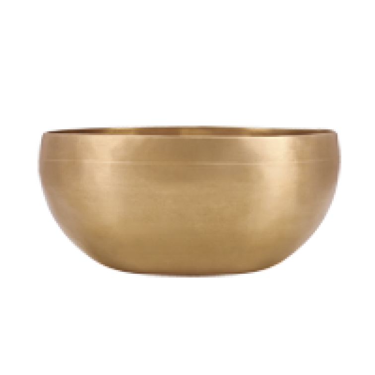 Пееща купа Meinl SBU400