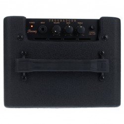 Комбо за акустична китара Ibanez T15 U